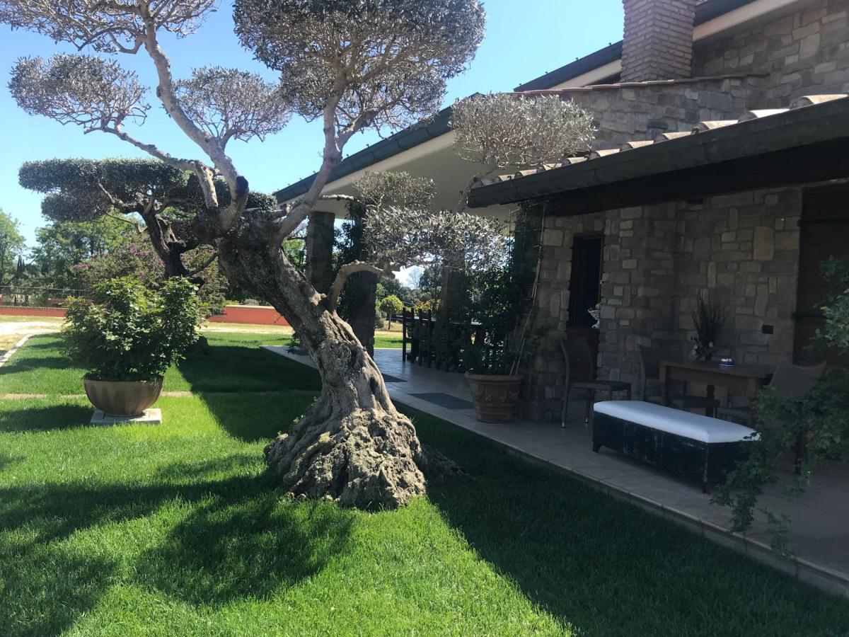 네뚜노 Le Rose B&B 외부 사진
